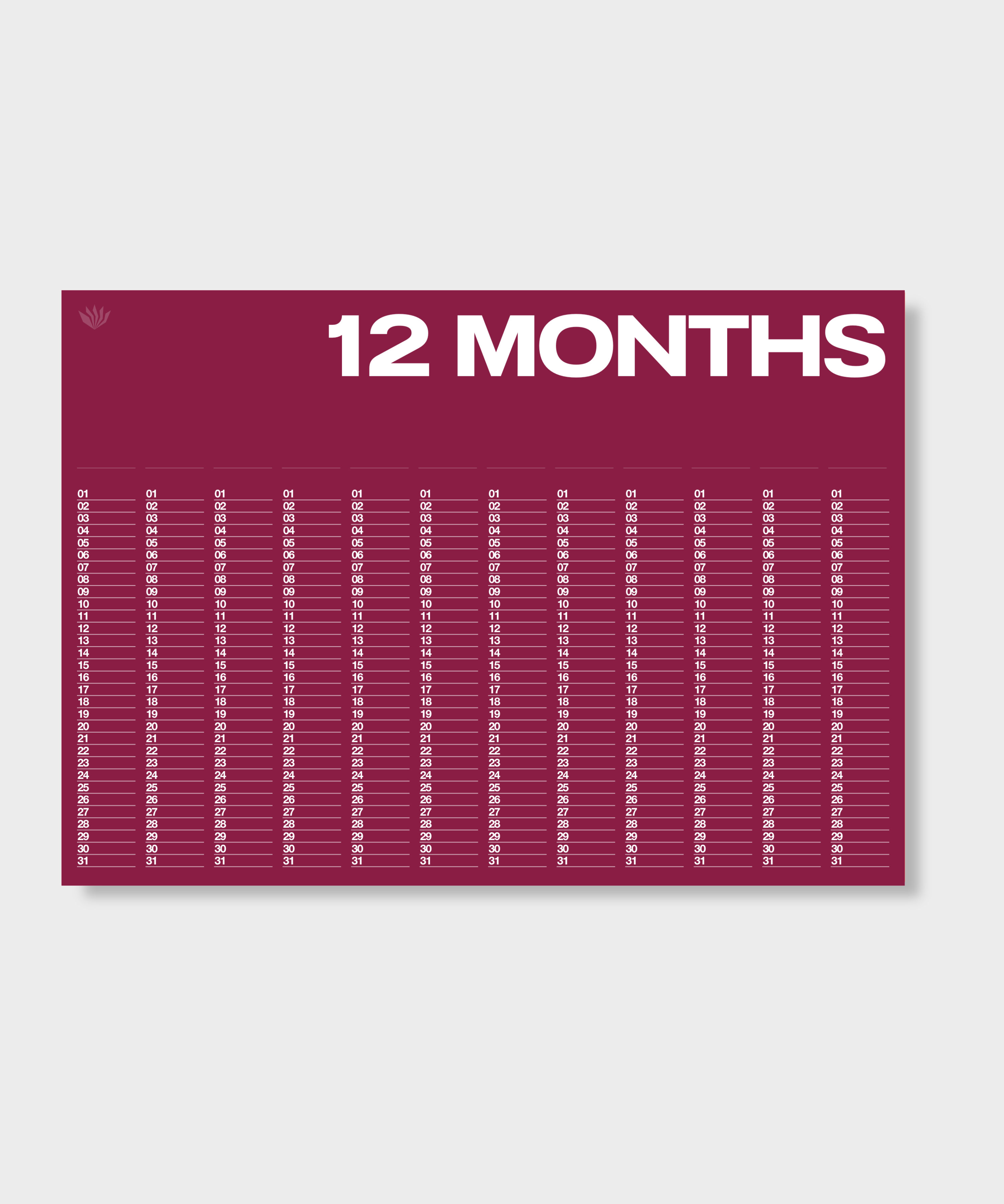 Anytime - Year At A Glance Wall Calendar A1