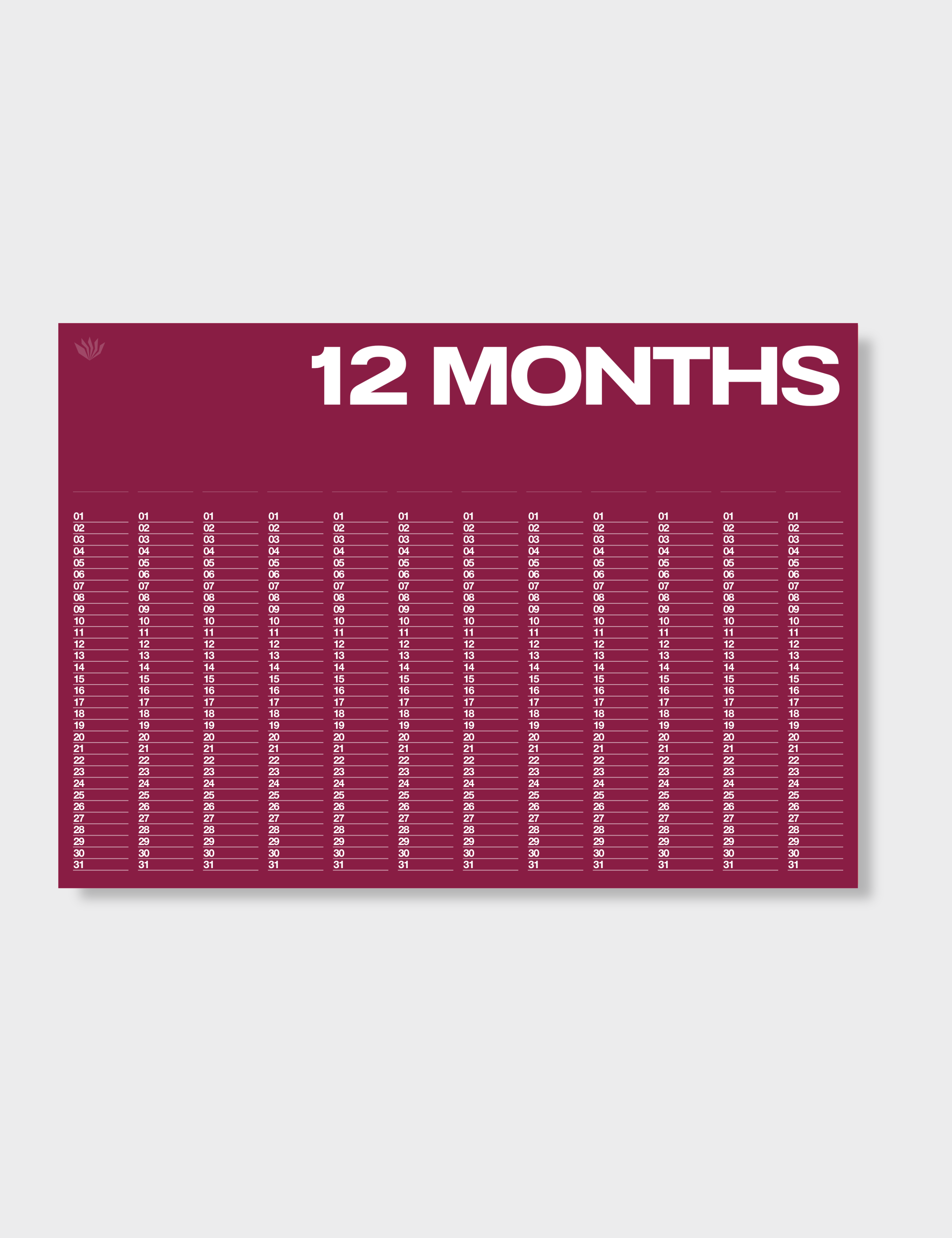 Anytime - Year At A Glance Wall Calendar A1