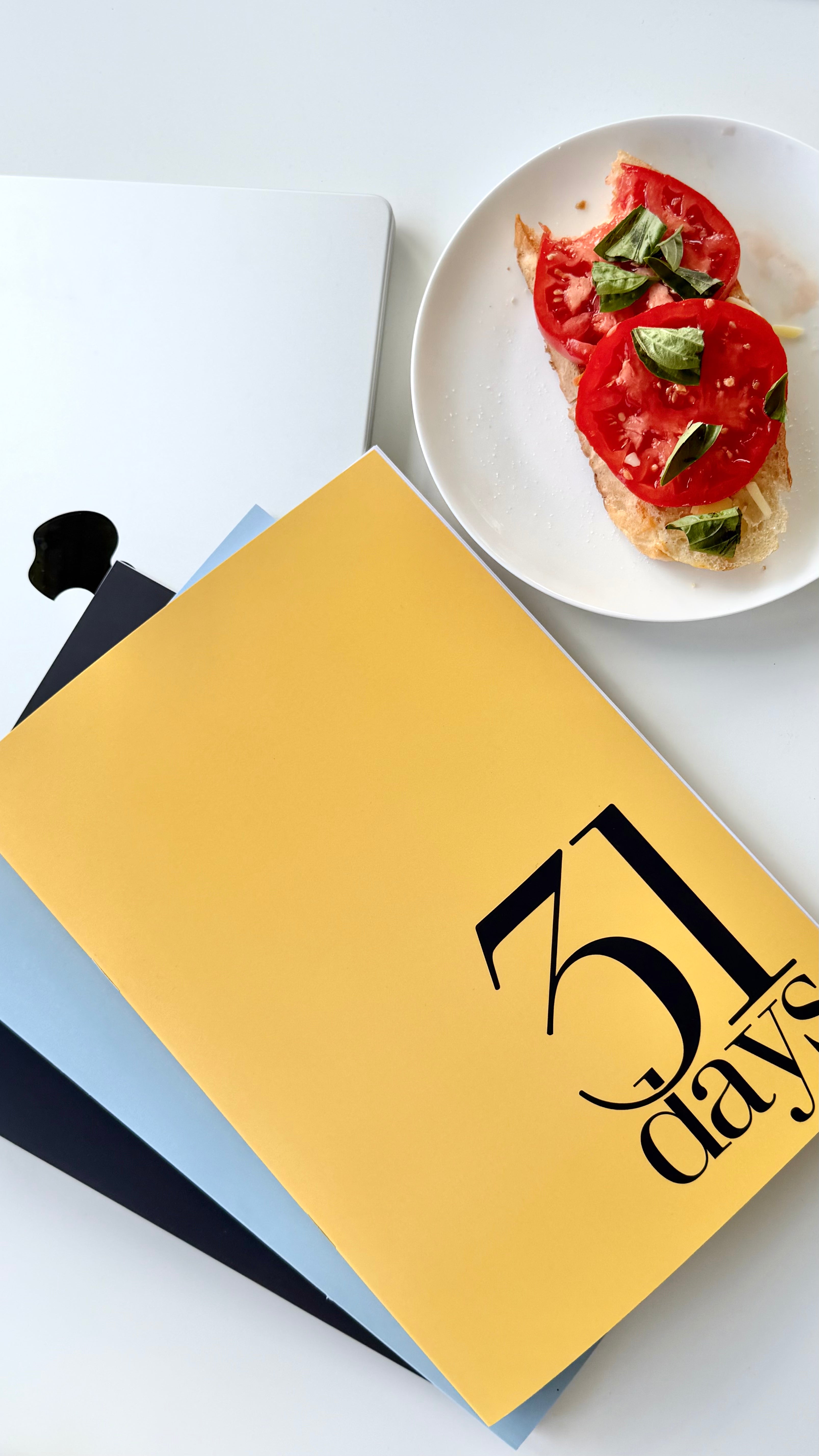 31 Day - Daily Diary A4 Collection