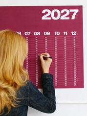 2027 Year At A Glance Wall Calendar A1