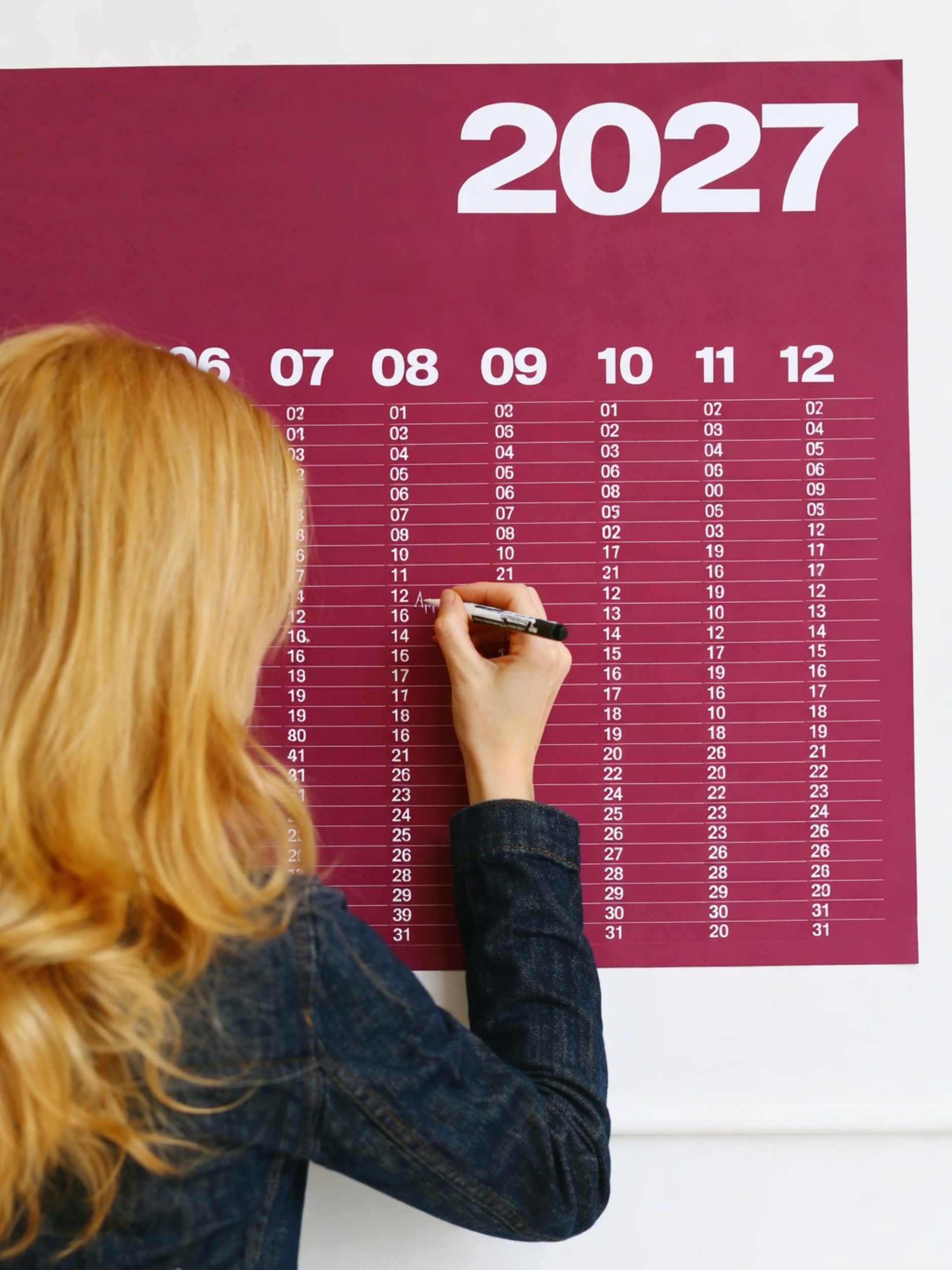 2027 Year At A Glance Wall Calendar A1