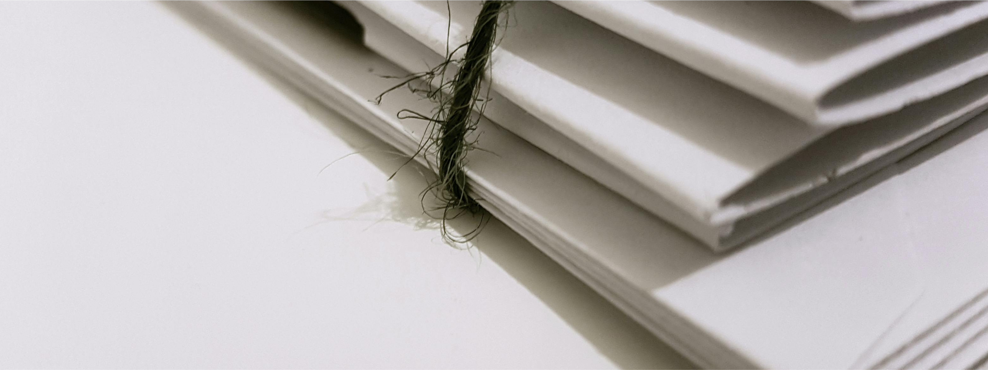 Untitled_design_-_2025-09-22T230906.772.png